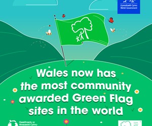 Green Flag 24