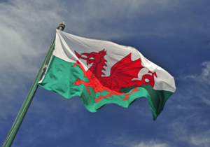 Welsh in Education and Welsh-Medium Education