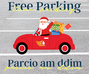 Car Parking