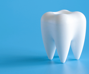 teeth