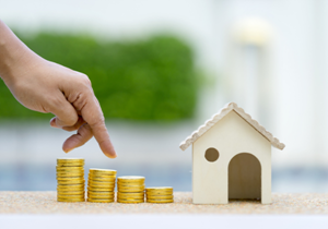 Renting your property