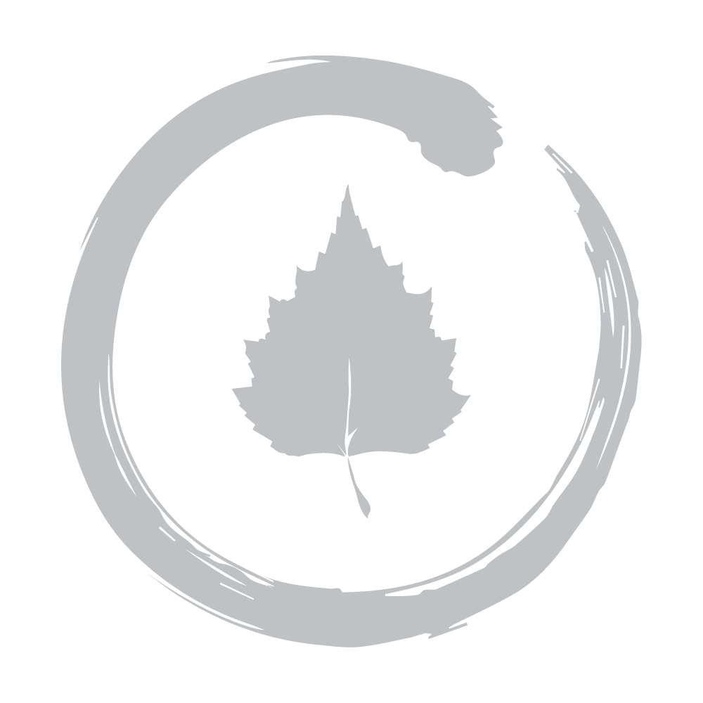 One Planet Silver Solo