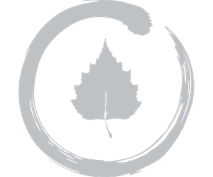 One Planet Silver Solo