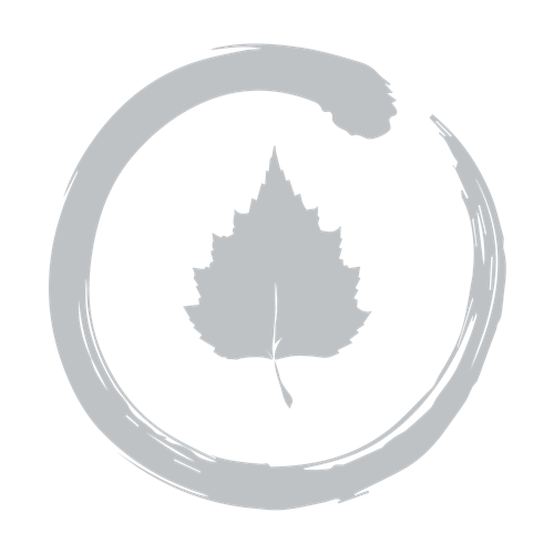 One Planet Silver Solo