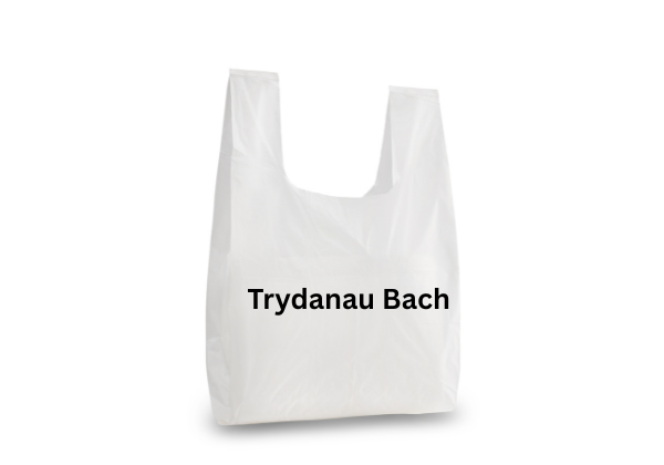 Eitemau Trydanol Bach