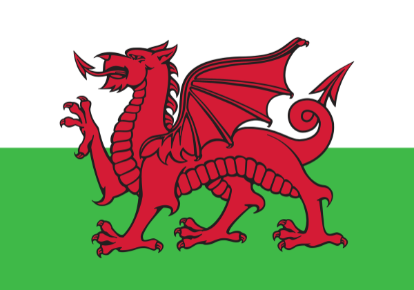 Corporate Parenting Charter – A Promise from Wales