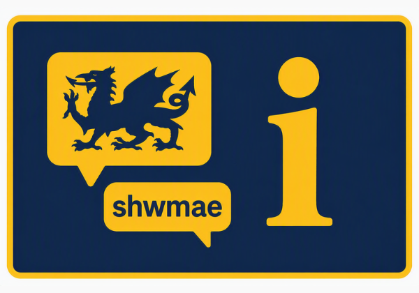 Welsh Medium Education (incl. WESP)