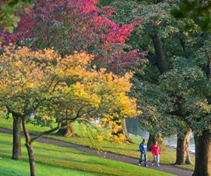 Cyfarthfa-Park.jpg