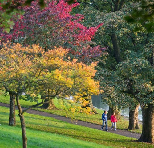 Cyfarthfa-Park.jpg