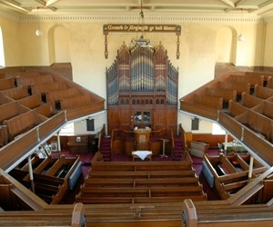 Soar organ