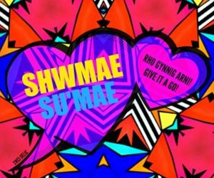 SHWMAE-SUMAI-heb-diwrnod_day-298x300
