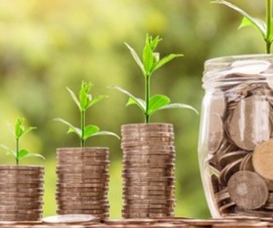 Start up grants