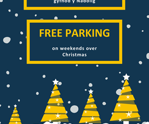 Free Christmas parking