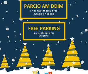 Free Christmas parking (1)