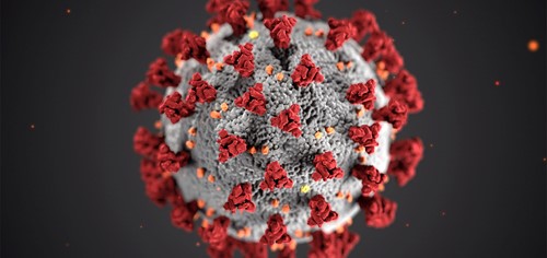 Coronavirus image (1)