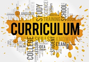 Curriculum