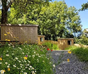 The Roost Merthyr