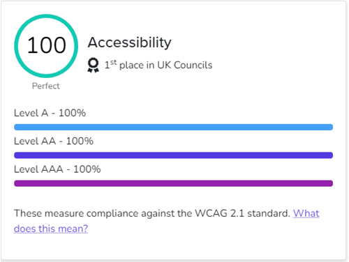 Accessibility Score