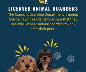 Licensed pet boarding
