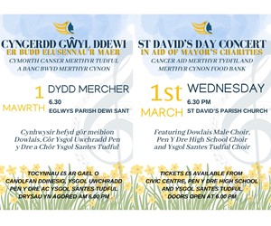 St Davids Concert