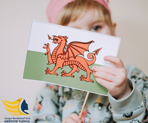 welsh lang