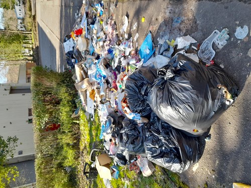 Fly-tipping waste
