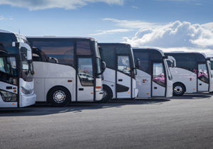 School Transport