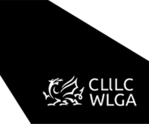 WLGA Logo