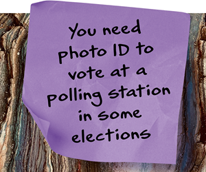 voter id