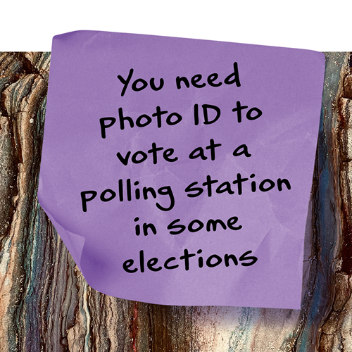 voter id